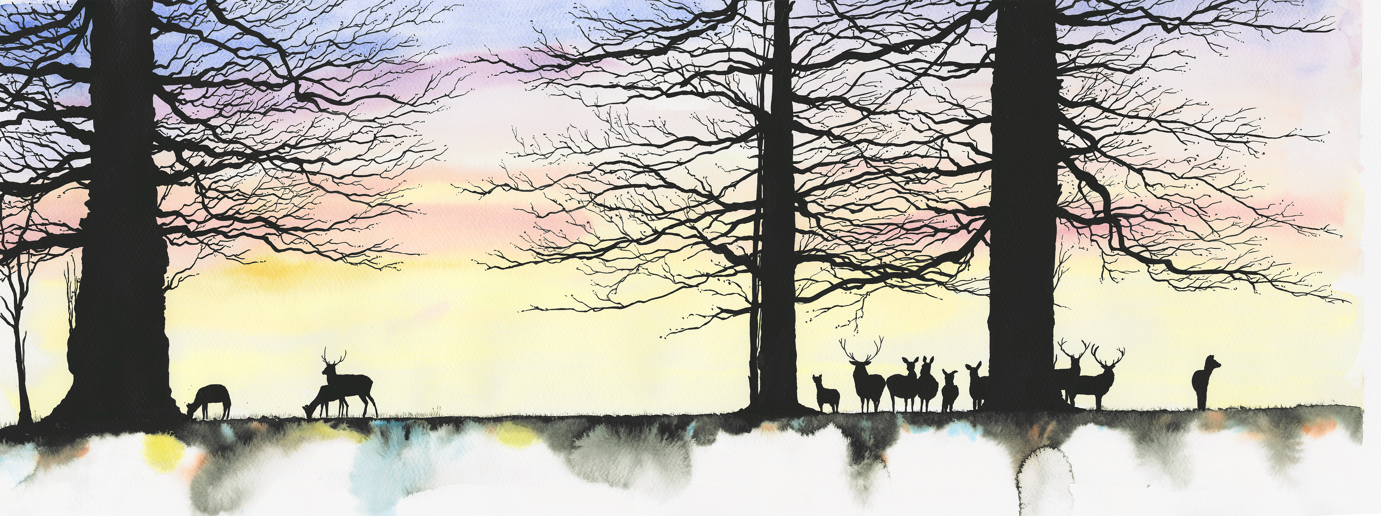 chatsworth herd 25mb